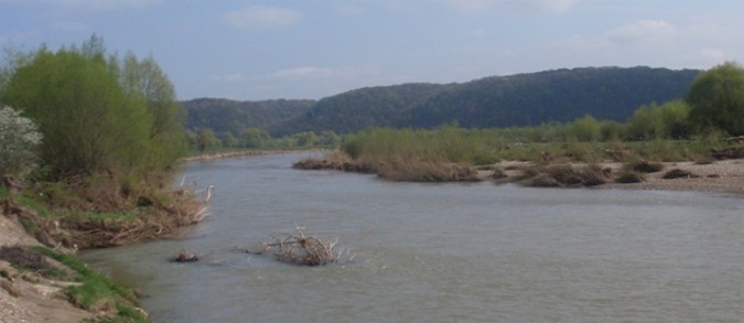 Image - The Svicha River.